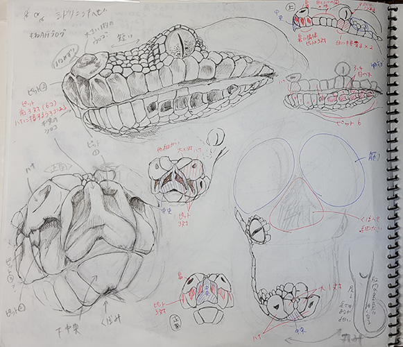 ミドリニシキヘビ