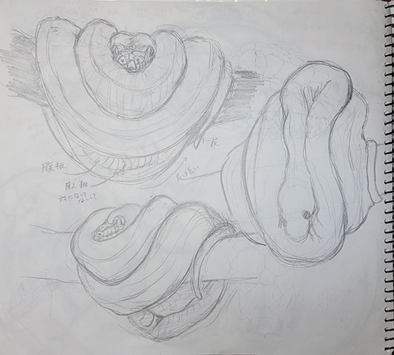 エメラルドツリーボア