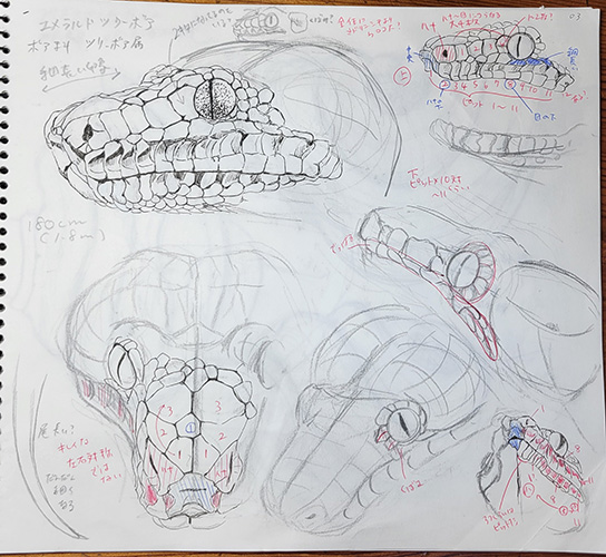 エメラルドツリーボア