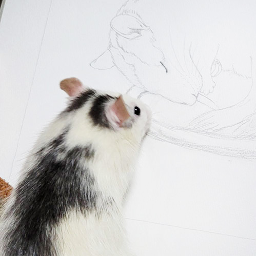 プロフィール写真